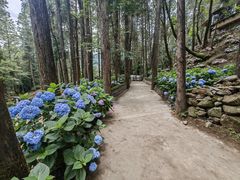 -寂照庵