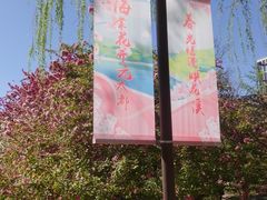 -元大都城垣遗址公园