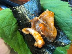 -红辣椒八爪鱼特色韩国料理