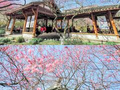 -杭州植物园