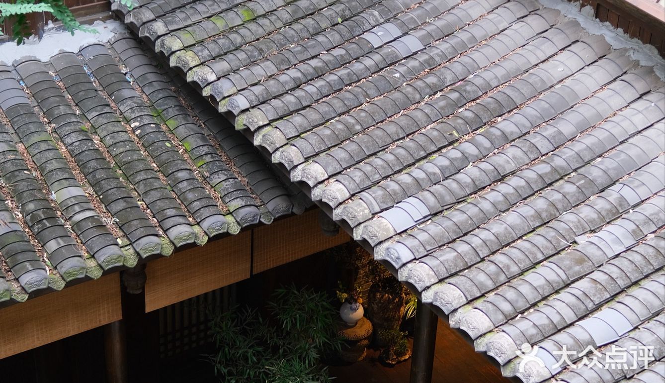 成都‼️这家中式庭院真的好惬意🍃