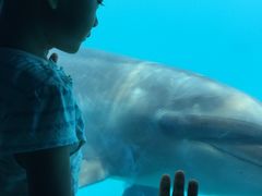 -北戴河圣蓝海洋公园