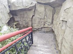 -成都市活水公园