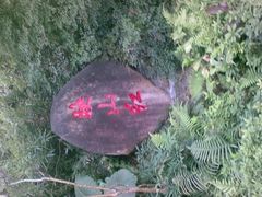 -金鸡山公园
