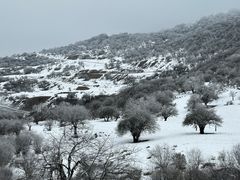 -太子岭滑雪场