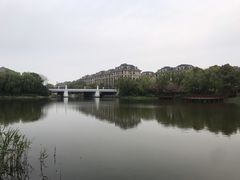 -新江湾城公园