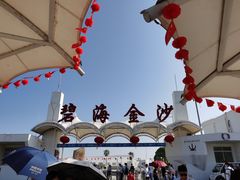 -碧海金沙