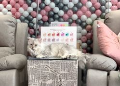 -Beauty Nails 美甲美睫皮肤管理