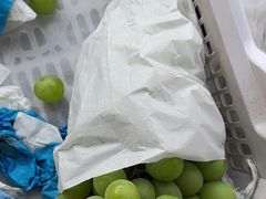 -马陆小张葡萄园农家乐