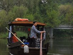 -溱湖国家湿地公园