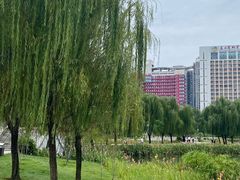 -南宁南湖公园