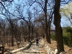 -阳台山自然风景区