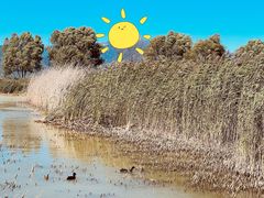 -野鸭湖国家湿地公园