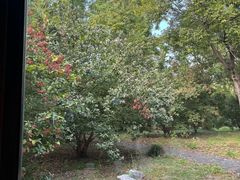 -东园小馆·早茶·淮扬小炒(宋夹城店)