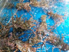 -盒马鲜生(馥邦国际店)