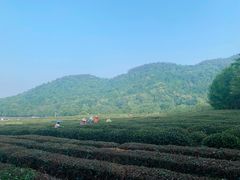 -中国茶叶博物馆(双峰馆区)