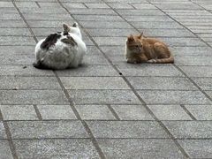 -晓港公园