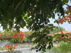 -同銮特种养殖场·龙虾垂钓