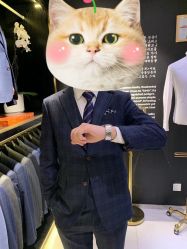 -TOPZIO西服定制(北京店)