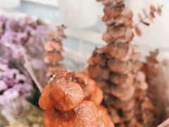 -深圳龙华星河COCO City(民治店)