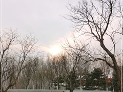-望湖公园