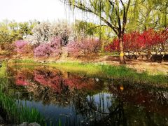 -圆明园遗址公园-藻园门售票处