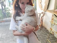 -喵屿·大理花园猫咖