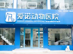 -爱诺动物医院(崂山店)