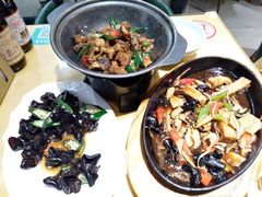 -素虎小呆鸟(西二旗店)