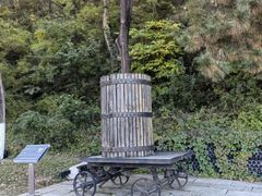 -北京张裕爱斐堡酒庄
