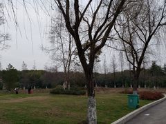 -祥源·阜阳生态乐园