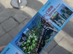-大岭沟猕猴桃谷风景区
