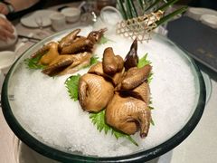陈年花雕冰皮乳鸽-红鱼湾餐厅(国际大厦店)