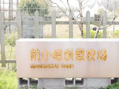 -前小桔亲子创意农场·草莓采摘·露营烧烤