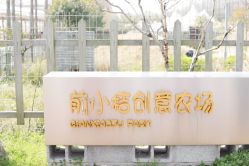 -前小桔亲子创意农场·草莓采摘·露营烧烤