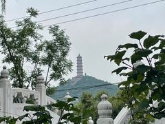 -北坞公园
