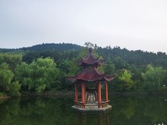 -冶父山国家森林公园