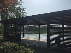 -尚贤河湿地