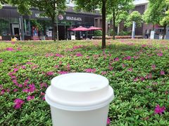 -星巴克(尚品中心1F店)