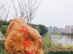 -怡海公园(桂城街道)