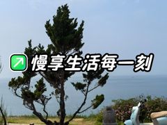 -养马岛旅游度假区
