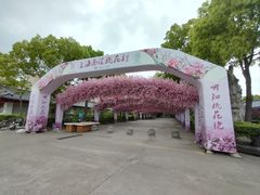 -南汇桃花村