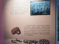 -重庆自然博物馆(新馆)