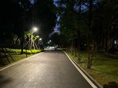 -洋湖国家湿地公园