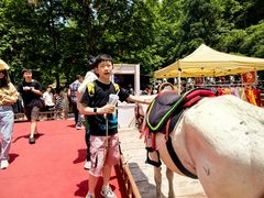 -刘伯温故里景区百丈漈