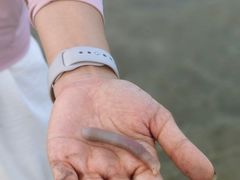 -红树林天天赶海