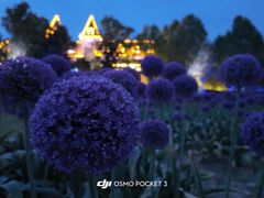 -花博汇(知音花月夜)