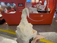 -野人先生现做冰淇淋(北京王府井东方新天地店)