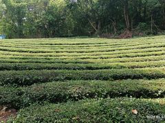 -敬亭山风景名胜区