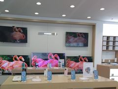 -华为合作店(金陵西路)